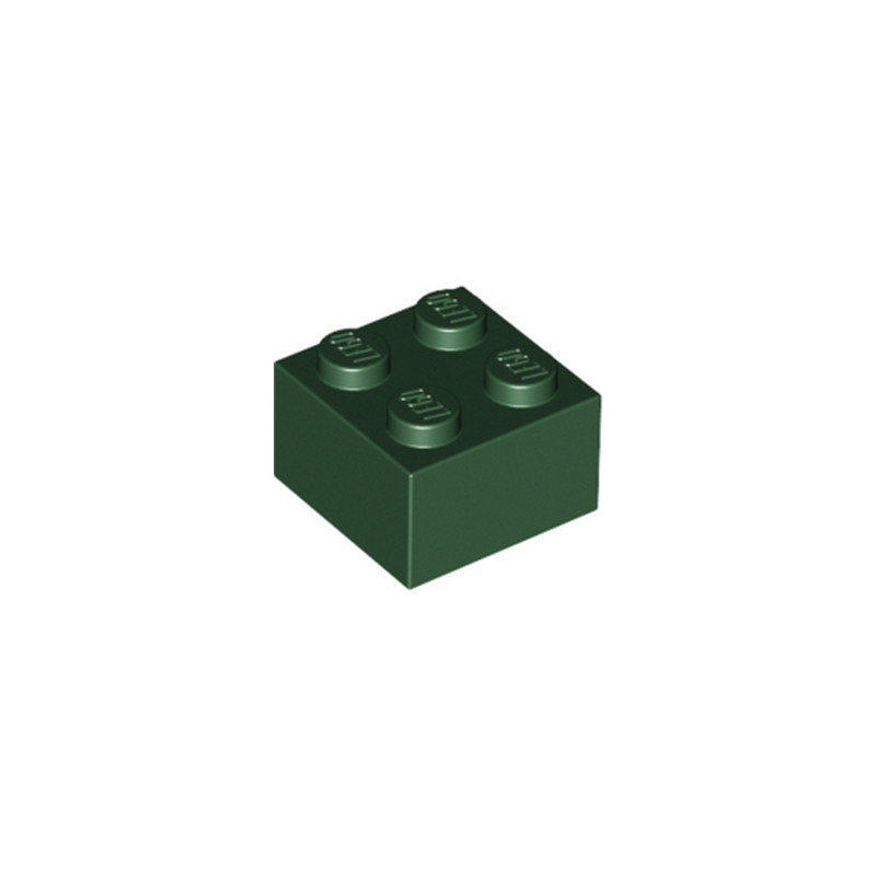 LEGO 6214611 BRIQUE 2X2 - EARTH GREEN