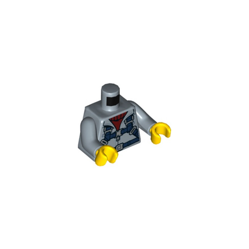  LEGO 6302885 TORSE 