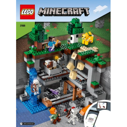 Istruzioni Lego Minecraft 21169
