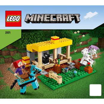 Notice / Instruction Lego Minecraft 21171