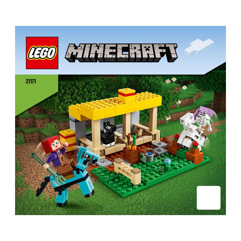 Instructions Lego Minecraft 21171