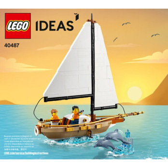 Notice / Instruction Lego IDEAS 40487