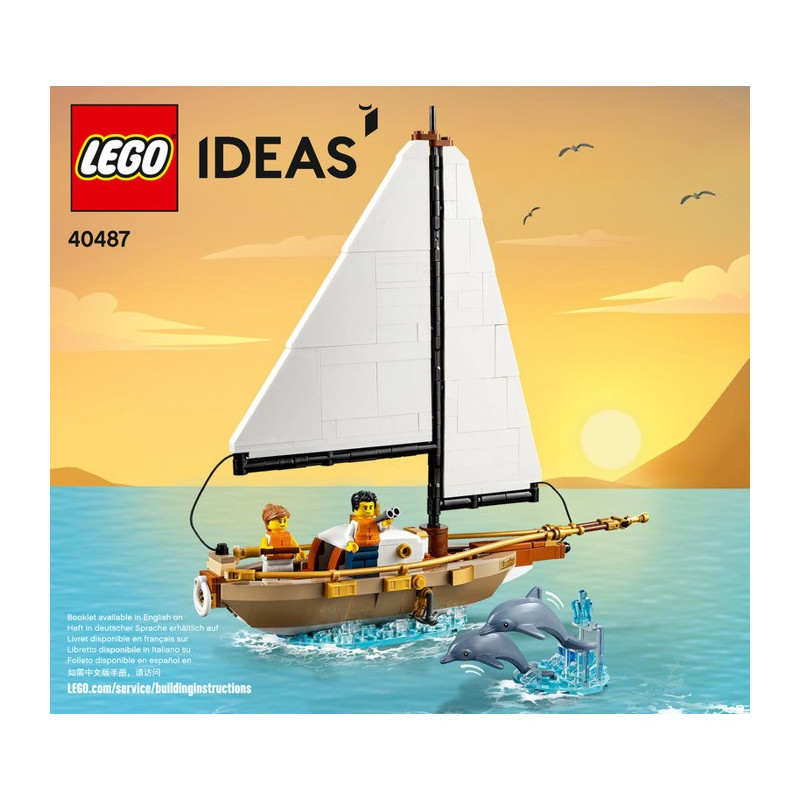 Instruction Lego IDEAS 40487