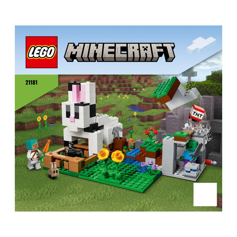Notice / Instruction Lego Minecraft 21181