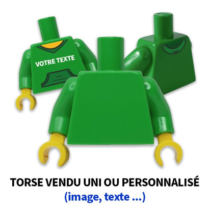 https://www.briquestore.fr/47562-medium_default/lego-6299168-torse-uni-ou-personnalise-bright-green.jpg