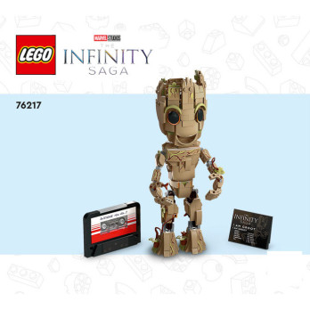 Instruction Lego® Marvel The Infinity Saga - 76217