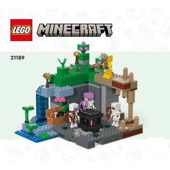 Instruction Lego Minecraft 21189