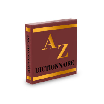 Dictionary printed on Lego® brick 2X2 - New Dark Red