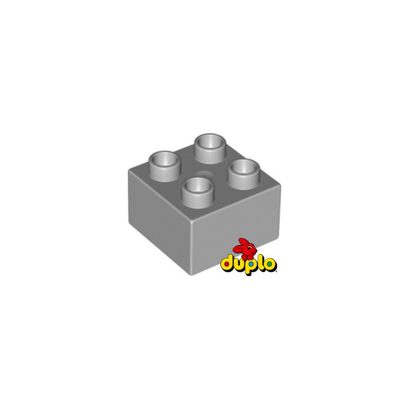 LEGO DUPLO 4266228 BRIQUE 2X2 - MEDIUM STONE GREY