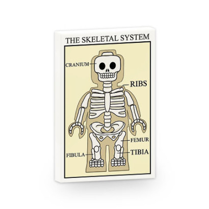 Poster Anatomie Figurine imprimé sur Brique Plate lisse Lego® 2x3