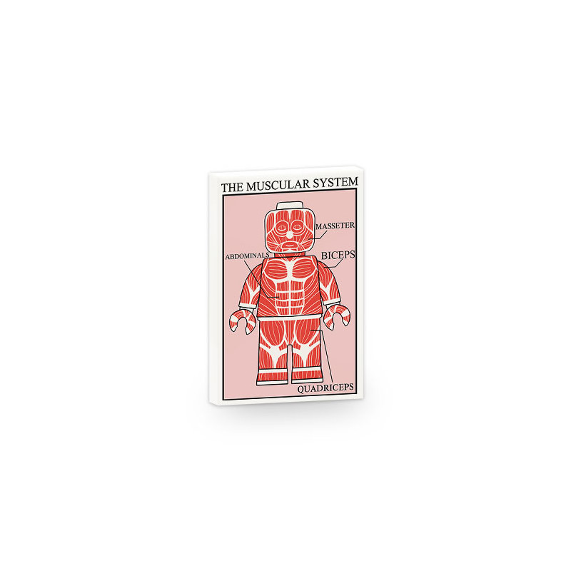 Poster Anatomie Figurine imprimé sur Brique Plate lisse Lego® 2x3 - Blanc