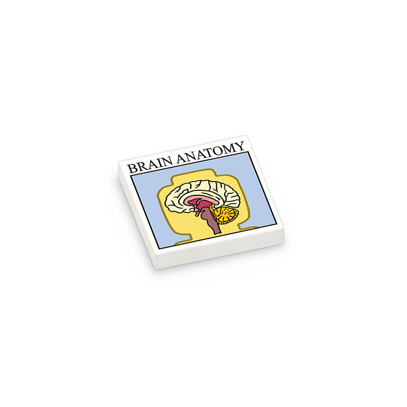 Poster Anatomie Cerveau Figurine imprimé sur Brique Plate lisse Lego® 2x2 - Blanc