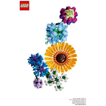 Instruction Lego Icons - 10313