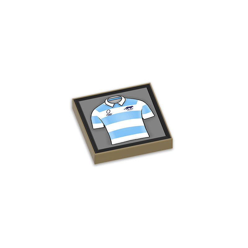 Tableau Maillot de Rugby Argentine imprimé sur brique Lego® 2x2 - Sand Yellow