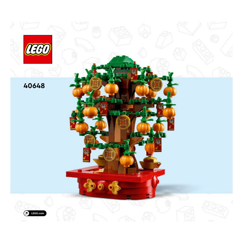 Instruction Lego® Money Tree - 40648