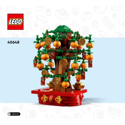 Notice / Instruction Lego® L’arbre à monnaie - 40648