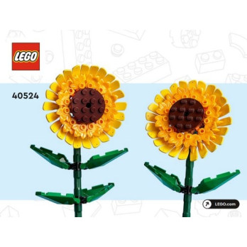 Instruction Lego® Sunflowers - 40524