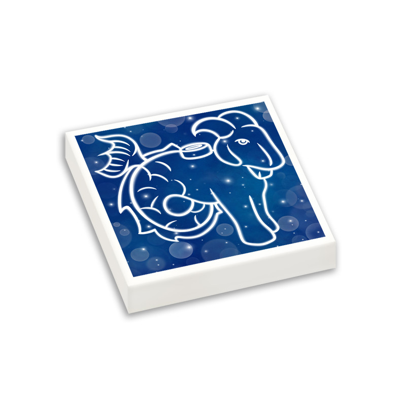 Signe Astrologique Capricorne imprimé sur Brique Lego® 2x2 - Blanc