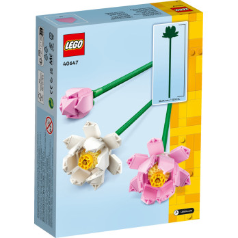 LEGO 40647 Creator Les Fleurs de Lotus