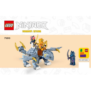 Notice / Instruction Lego® Ninjago - 71810