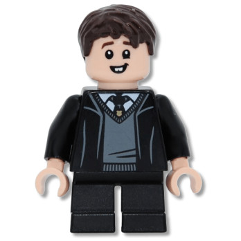 Mini Figurine LEGO® Harry Potter - Neville Longbottom